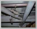 dsc01393.jpg